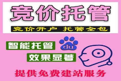 百度SEM代运营案例精选：精准营销效果显著